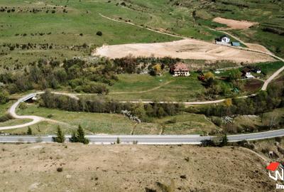 🏡 Oportunitate unică de investiție în Munții Apuseni, la doar ~1 oră de Cluj-Na - 11