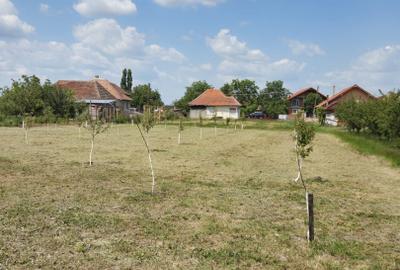 Casă  cu teren de 40 ari în localitatea Gelu - 7
