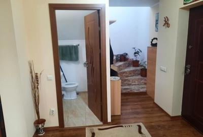 FARA COMISION casa 4 camere 2 bucatarii 2 puturi beci livada 1500mp SAU 3300mp - 13