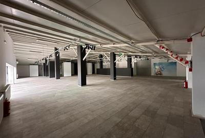 Hala, showroom sos. Pacurari Iasi, zona Mall Moldova, 1310mp - 19