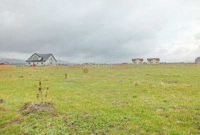 Teren Constructie Casa - 2