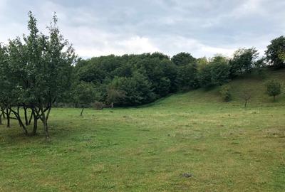 Teren intravilan Vălenii de Munte – 9.123 mp | Deschidere 45 ml | Lângă râu - 2