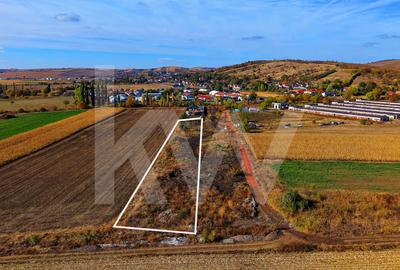 Teren intravilan 2.000 mp, PUZ aprobat  Strada Viile Sibiului Sibiu -DN14 - 11