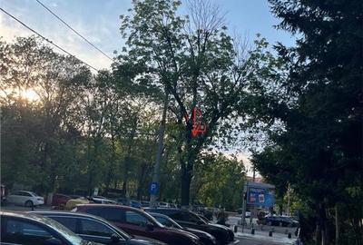 3 Camere Tineretului Sincai 2 minute Metrou - 13
