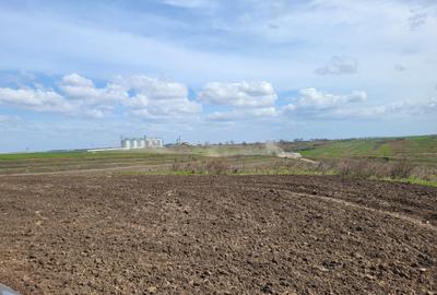 VANZARE TEREN PRUNDU INTRAVILAN AGRICOL GIURGIU POTENTIAL - 6