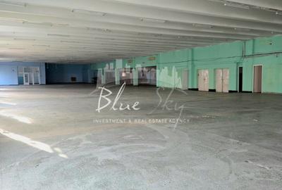 Spațiu Generos cu Terasă Circulabilă în Centru - 9