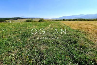 Teren Intravilan Intrare Cisnadie 2325 mp deschidere 25 ml - 1