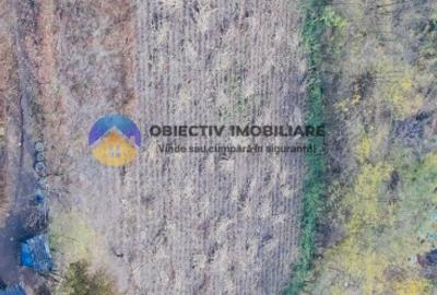 Teren de vânzare 11.766 mp – Costișa, județul Neamț - 5