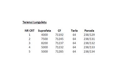 Teren intravilan DN7 Lungulețu – 28.331 mp – ideal hale agricole - 3