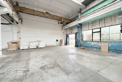 Hala industriala cu pod rulant, Sanicolau Mic, suprafata 1.187 mp - 2