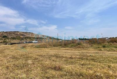 Teren intravilan 500mp, Betfia, Bihor - 2