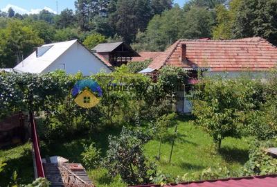 Casă de vânzare – Alexandru cel Bun / Bistrița - 12