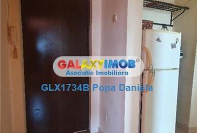 Apartament 2 camere decomandat, N.Racota - Herastrau - 13