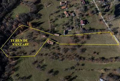 Teren intim si retras in Bran Predelut - 3