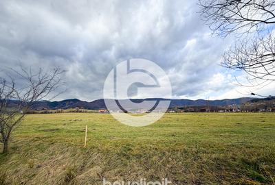 Teren intravilan în Tocile - 39 euro/mp - 4354 m² - 2 fronturi - 14