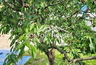 Vila D+P+E+M, teren 898mp, piscina, IANCU NICOLAE-Cambridge School - 7