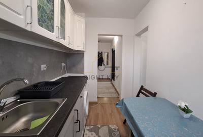 Ap 2 camere renovat, prima inchiriere, Parcul Dr Taberei - 9