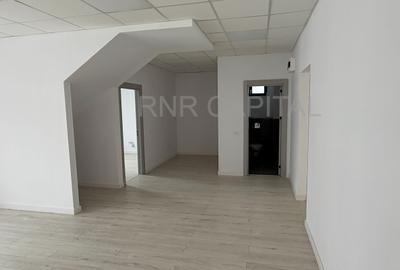 Hala 600 mp | TBM Park Chitila | Curte 460mp | Birouri | TIR - 6