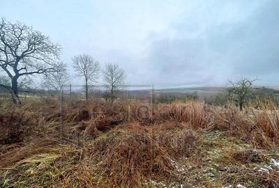 Teren 3200 mp! Casa 2 camere+bucatarie de vara+grajd, Aiton - 2