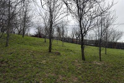 Teren intravilan 1518 mp, constructie, Sotrile, Prahova - 24 EUR/mp - 7