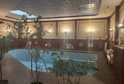 Oportunitate De Vanzare! Vila Exclusivista Unirii - Matei Basarab - 14