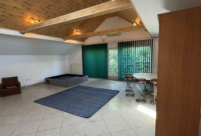 Vilă Eleganta D+P+M si generoasă Sannicolau Mic Arad Plata în Rate - 2