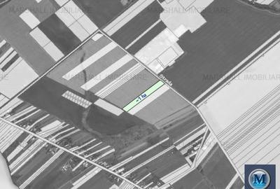 Teren intravilan de vanzare, zona Exterior Sud, 9903 mp #16110 - 2