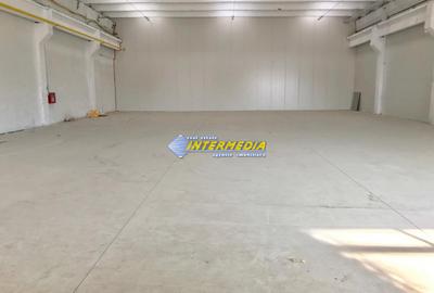 Hale Productie Depozitare Alba Su. de la 1725 mp. - 4000 mp. finisata complet - 6
