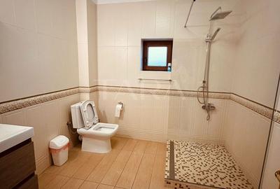 Vilă de închiriat în Gruia – spațiu generos, ideal pentru business. - 7