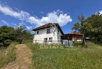 Casa la munte, la cheie, priveliste panoramica, in sat Ret, Hunedoara - 2