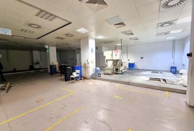 Spatiu birouri Dristor - Kaufland Mihai Bravu - 4
