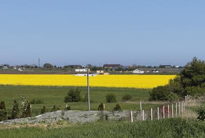 Teren intravilan CARTIER NOVA in Costinesti la 2 Km de plaja - 7