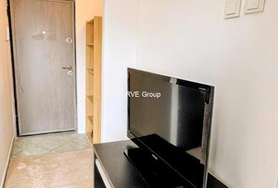 Vanzari Garsoniere Colentina Teiul Doamnei - 3