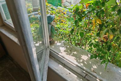 Casa 4 camere libera la vanzare RASNOV - zona Florilor - 10