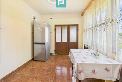 Casă cu teren de 4707 mp în Hălmăgel, județul Arad - 10