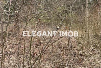 Teren Construcții intravilan de 1122 mp, în Corbeanca