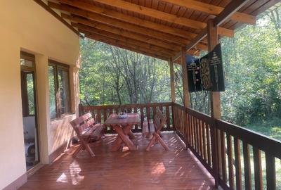 Casă de vancata lângă râu- Provița de Jos - 6