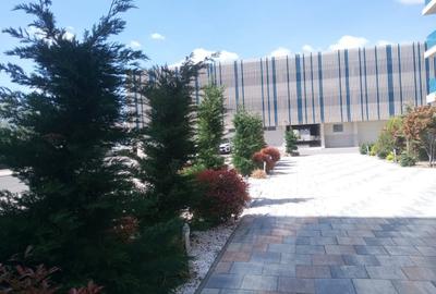 Studio Mamaia Nord - 16