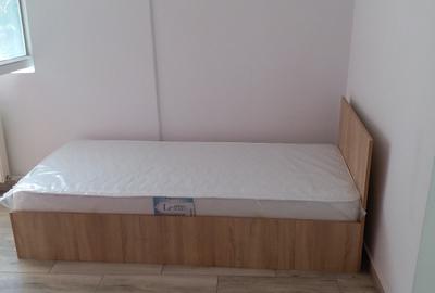 Vilă de  la Podul Grant – 250 mp + 100 mp curte - 39
