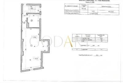 Vila spatioasa | Complet renovată | Central - 34