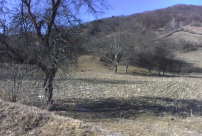 Vând teren Prahova - 4