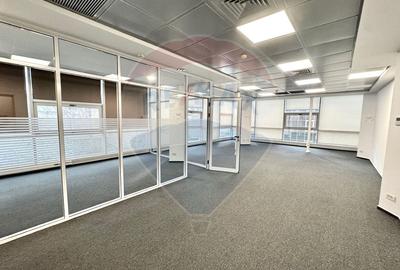 Spații birouri de închiriat Piata Victoriei | Spații 110–296mp - 2