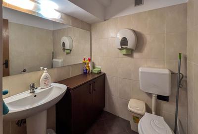 Duplex reprezentativ de închiriat – 240 mp | Bulevardul Unirii 61 - 14