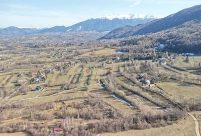 Teren intravilan Bran - Predelut - 4