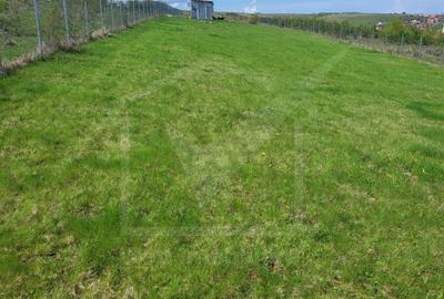 Teren extravilan 2000 mp, imprejmuit, panorama superba – Salicea (Cluj) - 1