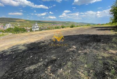 Terenuri de vanzare, Parcelabil, Valea Chintaului, Zona Beta Residence - 2