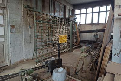 Complex de 3 hale 1545 mp-ideal prelucrare, service-Valea Ghinzii - 4