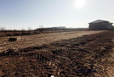 Silistea Snagovului teren intravilan 900 mp + 100 mp drum servitute - 3