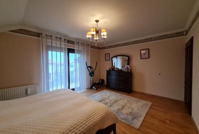 Poziție de top în Dumbravita - 25