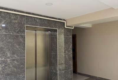 APARTAMENT 3 CAMERE VITAN BARZESTI - 11